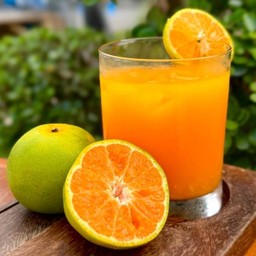 Orange Juice น้ำส้มคั้นสด100%
