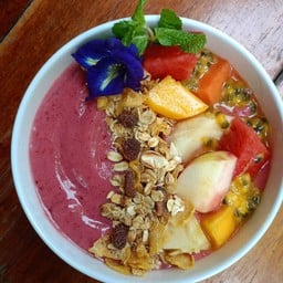 Fatcat In the garden