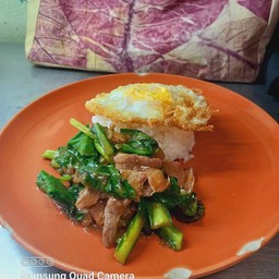 ข้าวราดคะน้าหมูกรอบ