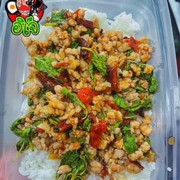ข้าวผัดกะเพราหมูสับ