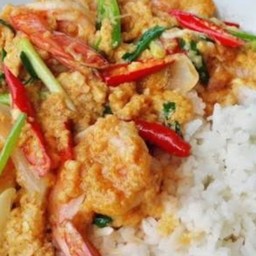 ผัดผงกะหรี่กุ้ง ราดข้าว