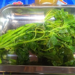 ผักโขม (ผักป๊อปอาย) 1 มัด