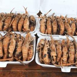 กุ้งนอคเผา 1 โล