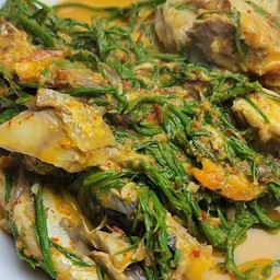 แกงคั่วใต้ปลาทูนึ่งใส่ชะอมสะตอ