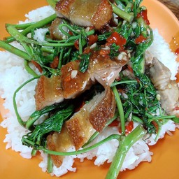 กระเฉดหมูการอบ