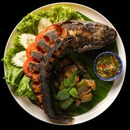 ปลาช่อนเกยตื้นราชบุรี