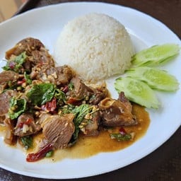 ข้าวกะเพราหมูตุ๋น
