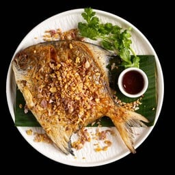 ปลาจาระเม็ดทอดน้ำปลา