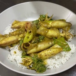 ข้าวปลาหมึกกะตอย ผัดพริกแกงใต้