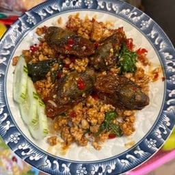 กระเพราไข่เยี่ยยวม้า