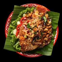 ปลากะพงลุยสวน
