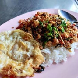 ผัดกระเพราหมู/ไก่