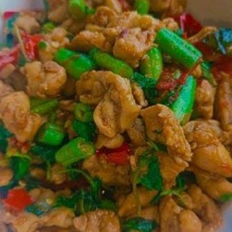 ข้ทวกะเพราไก่ใส่ถั่ว