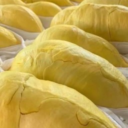 พรีเมี่ยมฟรุ๊ตแลนด์ 605 โลตัสวิภาวดี