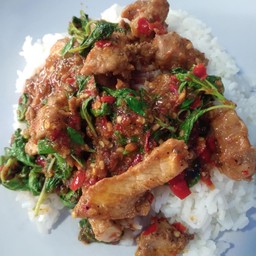 ผัดกระเพราหมูชิ้น