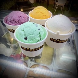 Set 5 Cups BigScoop Premium Gelato