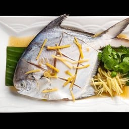 ปลาจาระเม็ดนึ่งซีอิ้ว