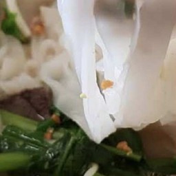 เส้นใหญ่น้ำใส พิเศษ