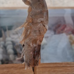 กุ้ง1ตัวใหญ่