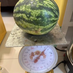 แตงโม 1 ลูก