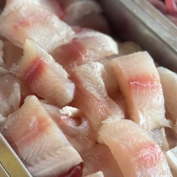 ปลาดอลลี่