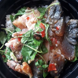 กระเพราหมูสับไข่เยี่ยวม้า(กับ)