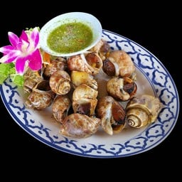 หอยเผา