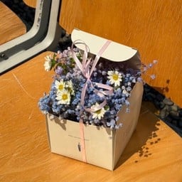 Sky In A Box