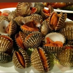 หอยแครงลวก Scalded cockles