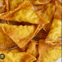 Fried Wonton Pork/Chicken