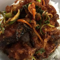 ข้าวปลาดุกผักพริกแกง