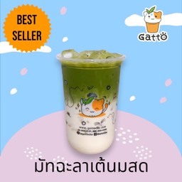 มัทฉะลาเต้นมสด