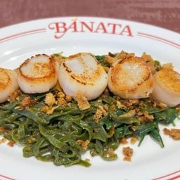 Banata Pasta Scallop (Lm)