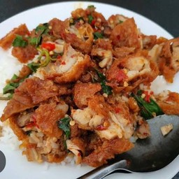 กะเพราไก่กรอบไข่ดาว