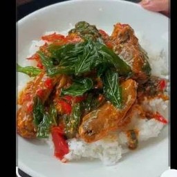 ข้าวราดกะเพราปลากระป๋อง