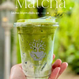 มัทฉะ ลาเต้ ( grassy ) ขายดีตลอดกาล