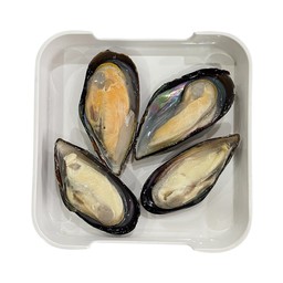 หอยแมลงภู่ นิวซีแลนด์