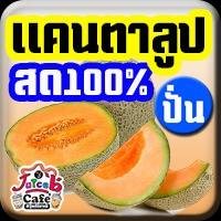 แคนตาลูปสด(ปั่น)