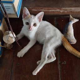 เด็กใหม่ (ยังไม่มีชื่อ)