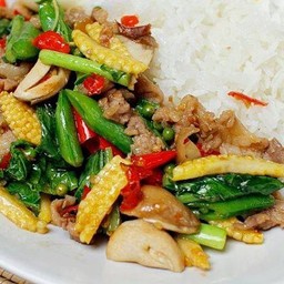 ผัดขี้เมาหมูราดข้าว