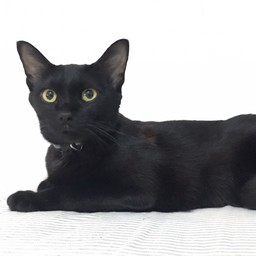 ทิปน้องปลารักเล่ห์