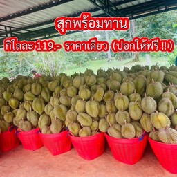 โกดังทุเรียนน่านฟ้า