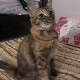 ทิปน้องพลอย