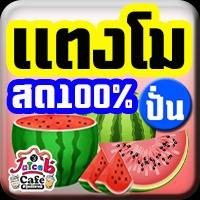 แตงโมสด(ปั่น)