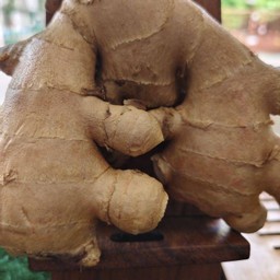 ขิงสดปั่น ginger