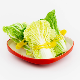 ผักกาดขาว