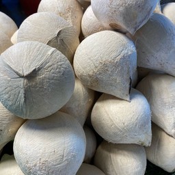 มะพร้าวน้ำหอมสด (ปลอกเปลือกแล้ว) ไซค์เล็ก