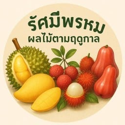 ทุเรียนหมอนทองบ้านรัศมีพรหม รัศมีพรหม