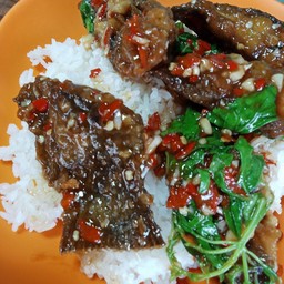 กะเพราปลาดุกทอดราดข้าว