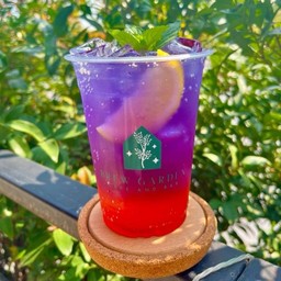 Summer Butterfly Pea